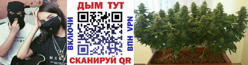 сайты даркнета телеграм  Козловка  Бошки марихуана тримм 